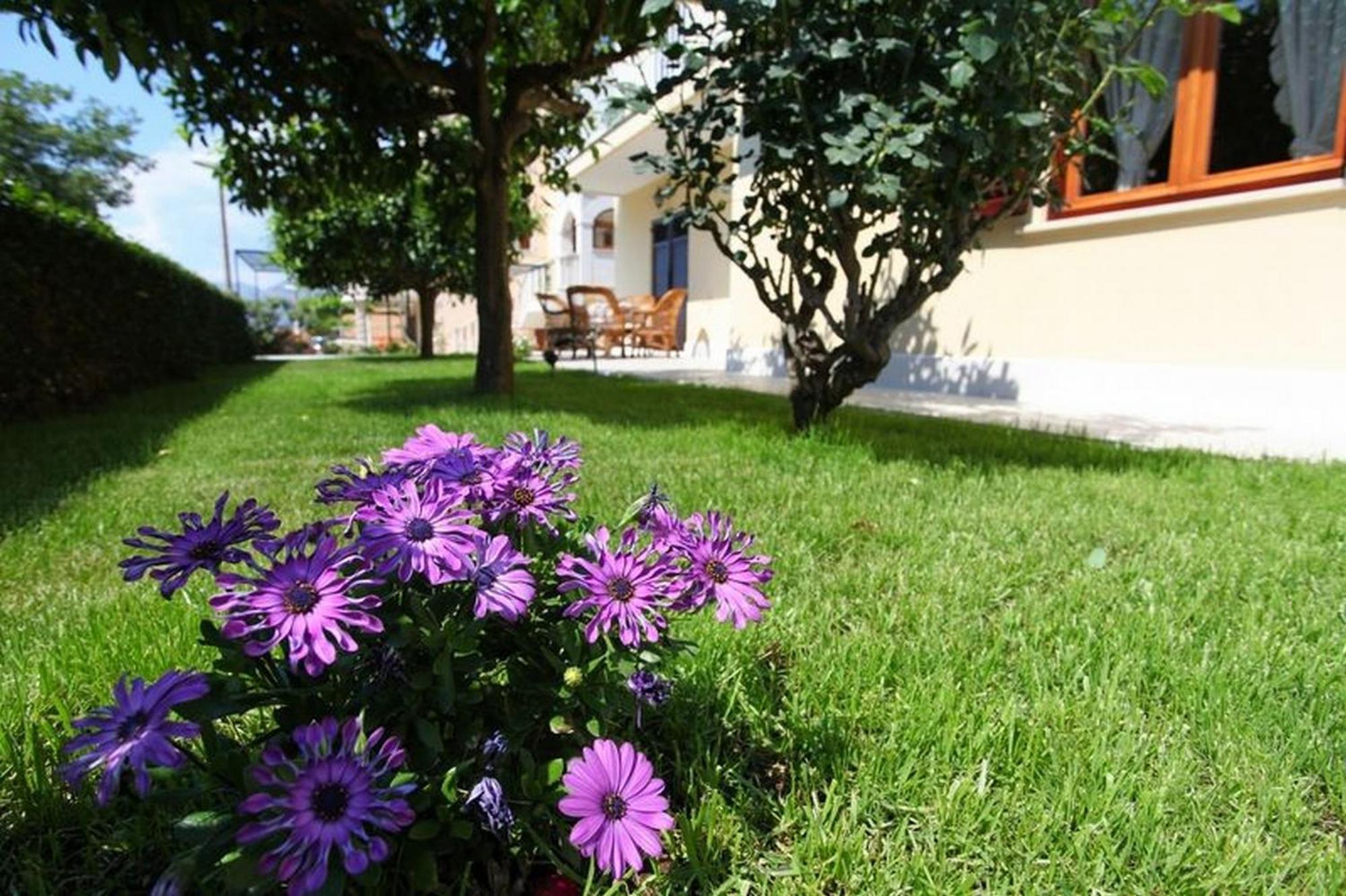 Antares Apartments Cavtat Buitenkant foto