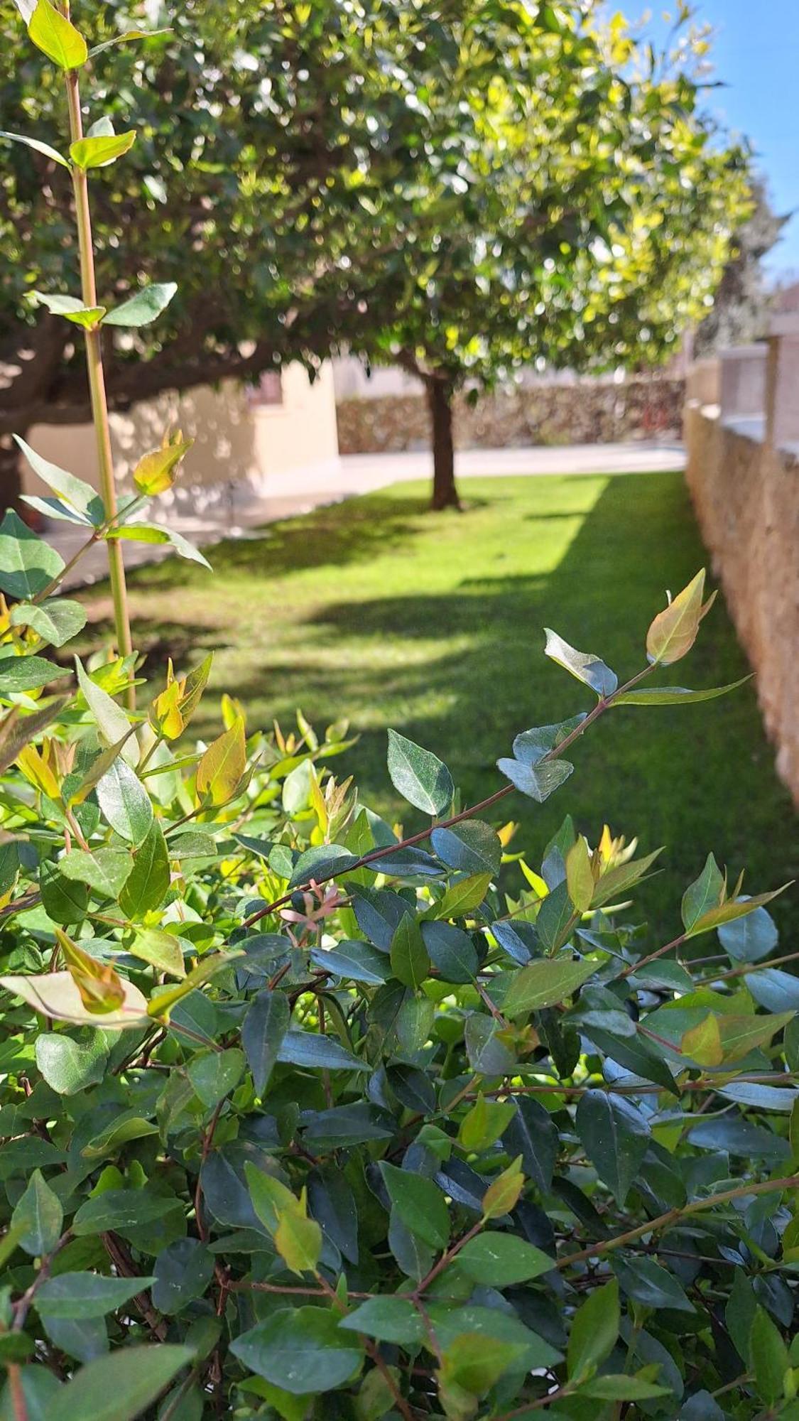 Antares Apartments Cavtat Buitenkant foto