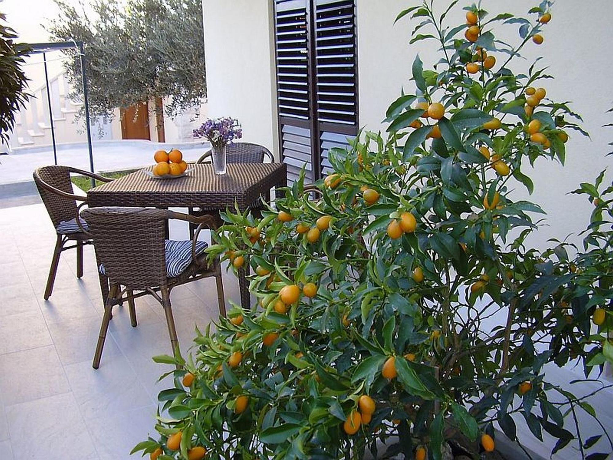 Antares Apartments Cavtat Buitenkant foto